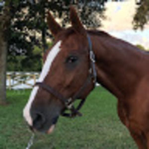 Meet your Posher, Debra